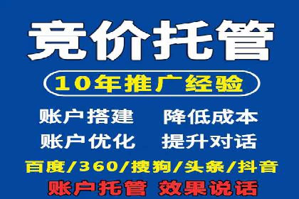 顶尖SEM竞价代运营公司案例分析